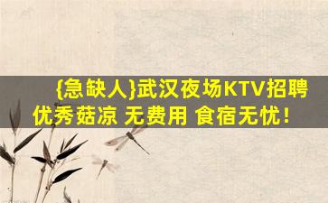 {急缺人}武汉夜场KTV招聘优秀菇凉 无费用 食宿无忧！